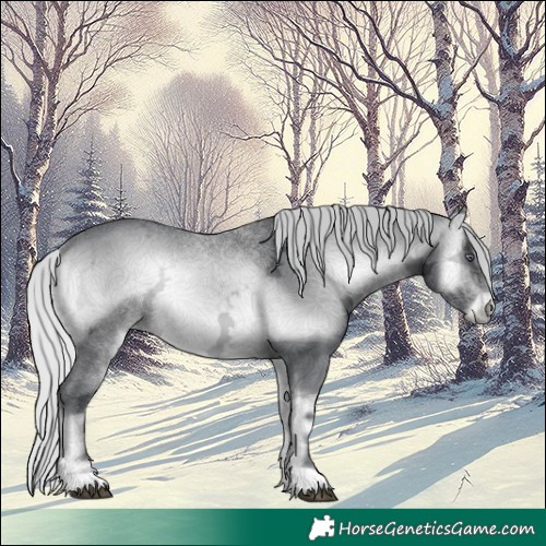 Horse Color:Silver Brown Chinchilla Ice Onyx
