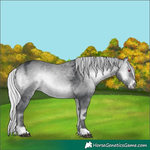Horse Color:Silver Brown Chinchilla Ice Onyx 