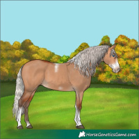 Horse Color:Silver Bay Dun Sabino Tobiano Frame Rabicano