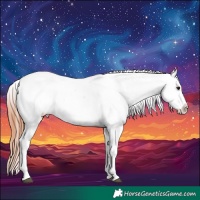 Horse Color:Bay Dun Near Fewspot 
