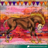 Horse Color:Bay 