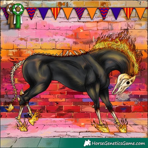 Horse Color:Black 