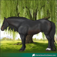 Horse Color:Brown 