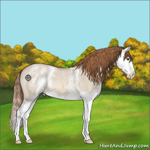 Horse Color:White Spotted Red Dun Roan Splash 