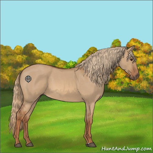 Horse Color:Red Dun Roan Sabino 