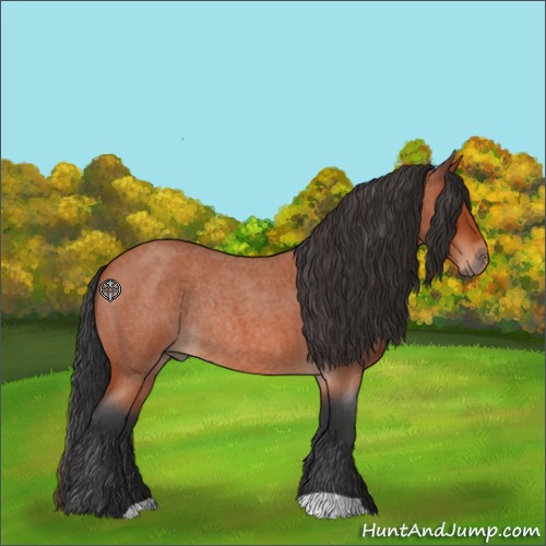 Horse Color:Bay Roan Rabicano 