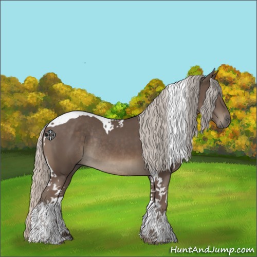 Horse Color:Silver Black Tobiano Rabicano 