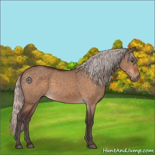 Horse Color:Silver Brown Dun Rabicano 