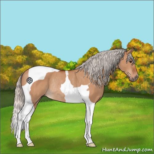 Horse Color:Silver Bay Dun Tobiano Rabicano 