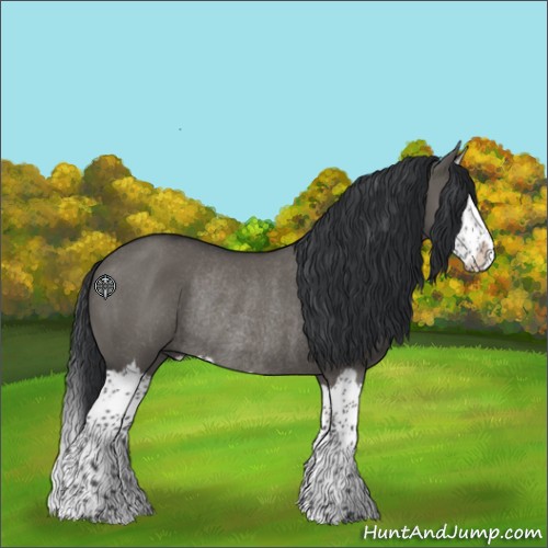 Horse Color:Grullo Splash Rabicano 