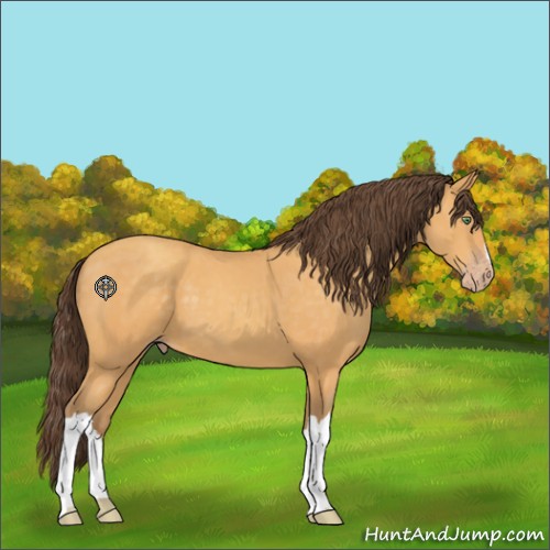 Horse Color:Sable Cream Champagne 
