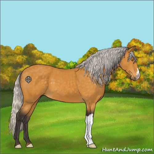 Horse Color:Silver Buckskin 