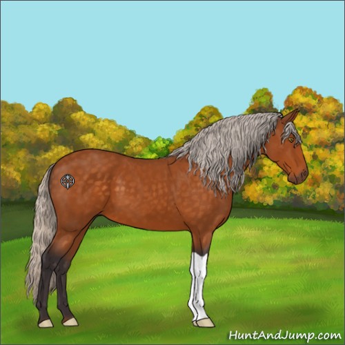 Horse Color:Silver Buckskin 