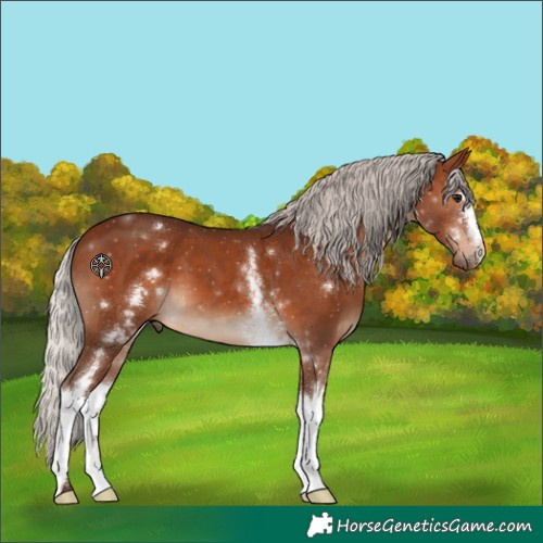 Horse Color:White Spotted Silver Bay 