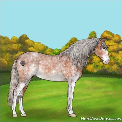 Horse Color:White Spotted Silver Bay 