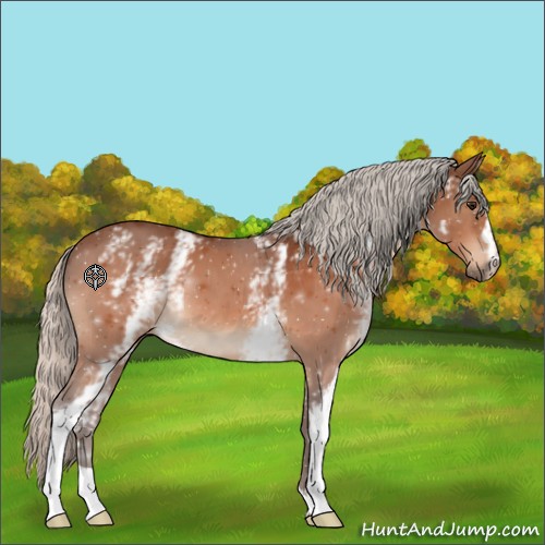 Horse Color:White Spotted Silver Bay 