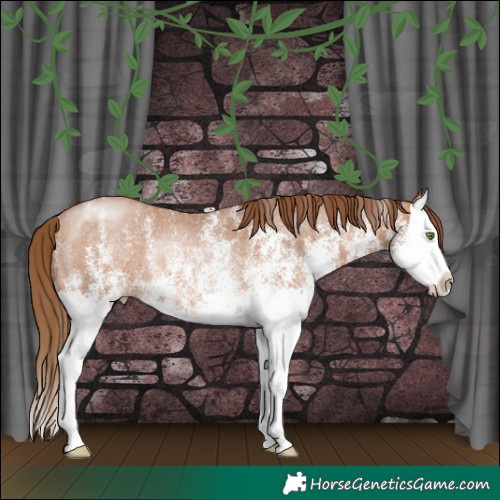Horse Color:White Spotted Brown Pearl Splash Rabicano 