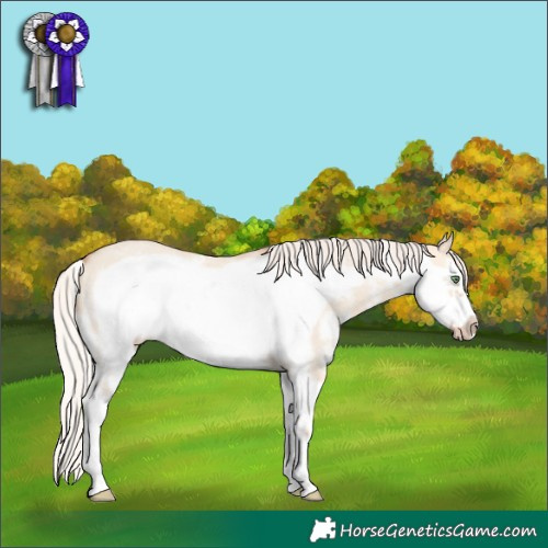 Horse Color:Silver Sable Champagne Dun Sabino Frame 