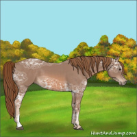 Horse Color:Chestnut Ice 
