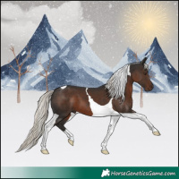 Horse Color:Liver Chestnut Mushroom Tobiano