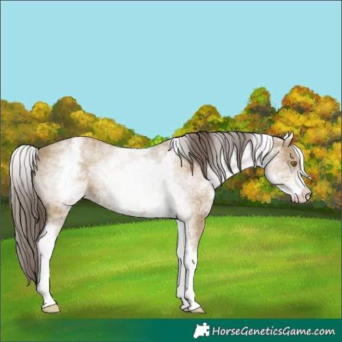 Horse Color:White Spotted Classic Cream Champagne 