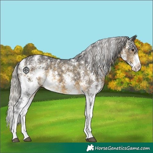 Horse Color:Silver Buckskin Sabino 