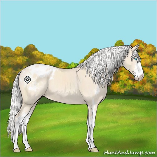 Horse Color:Silver Perlino Sabino Appaloosa 