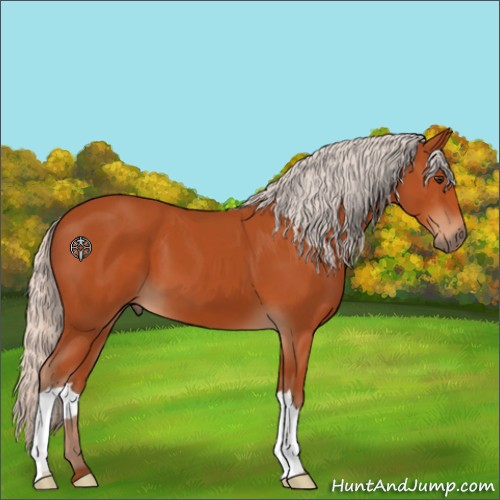 Horse Color:Silver Bay 