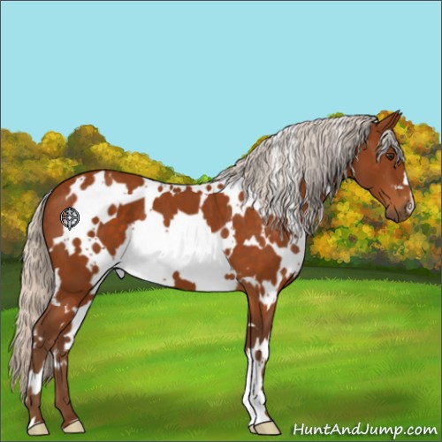 Horse Color:White Spotted Silver Buckskin 