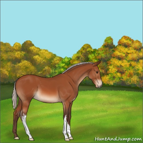 Horse Color:Silver Brown 