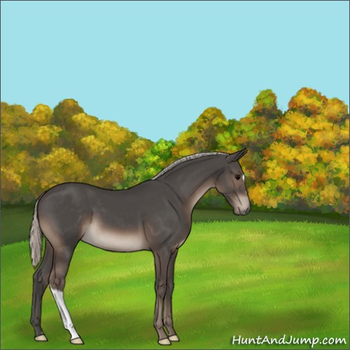 Horse Color:Silver Black 