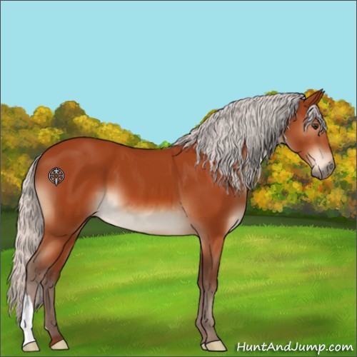 Horse Color:Silver Brown 