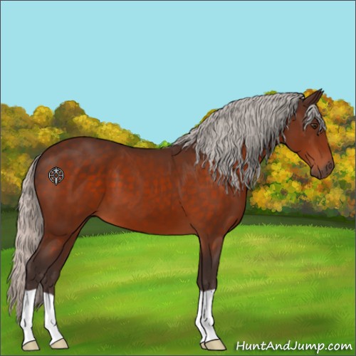 Horse Color:Silver Brown 