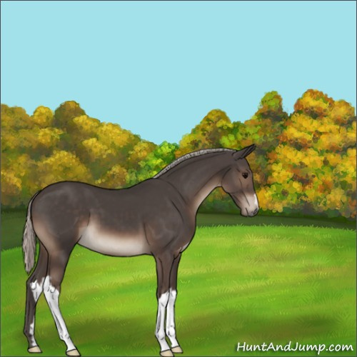 Horse Color:Silver Black 