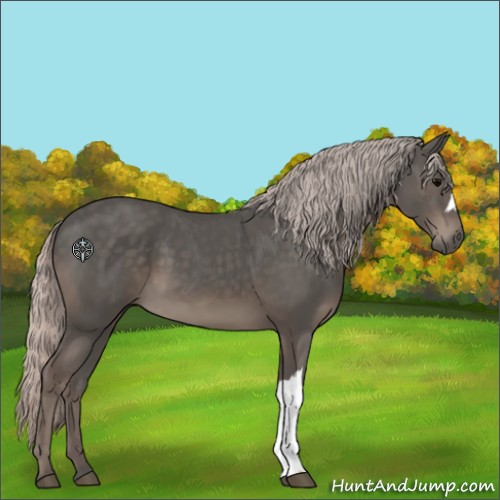 Horse Color:Silver Black 