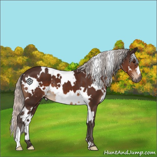 Horse Color:White Spotted Silver Brown 