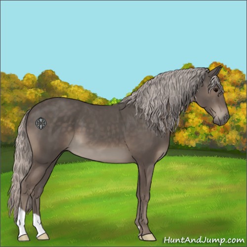 Horse Color:Silver Black 