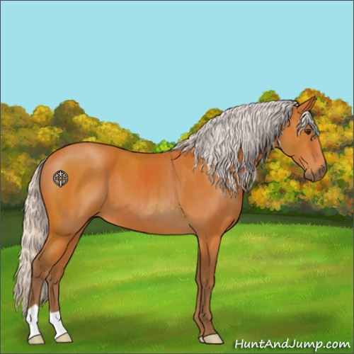 Horse Color:Silver Buckskin 