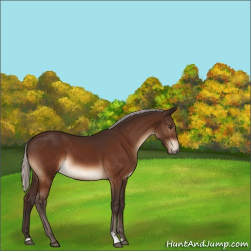 Horse Color:Silver Brown 