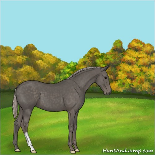 Horse Color:Silver Black 
