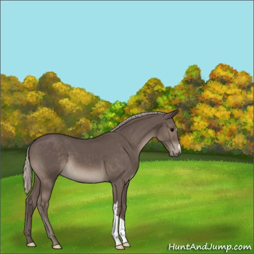 Horse Color:Silver Black 