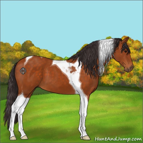 Horse Color:Buckskin Tobiano 