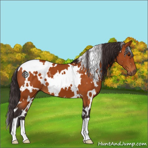 Horse Color:White Spotted Buckskin 