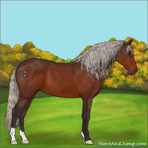 Horse Color:Silver Brown 