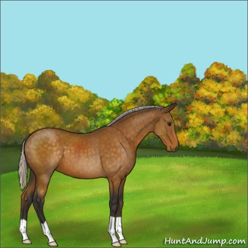 Horse Color:Silver Buckskin 