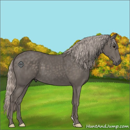 Horse Color:Silver Black 