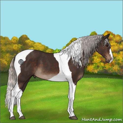 Horse Color:Silver Brown Tobiano 