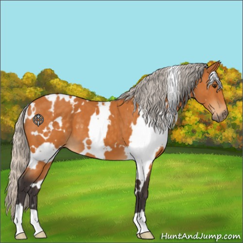 Horse Color:White Spotted Silver Buckskin 