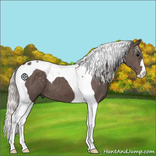 Horse Color:Silver Black Tobiano 