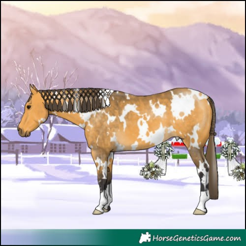 Horse Color:White Spotted Buckskin 